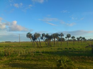 paisaje uruguay